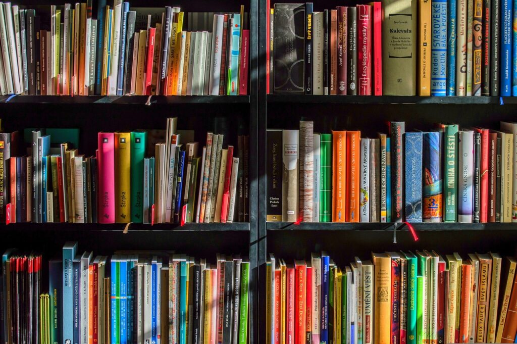 christmas background, books, bookstore, reading, writer, read, reader, colors, shelf, education, library, knowledge, novels